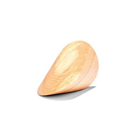 Oloid in wood (small)