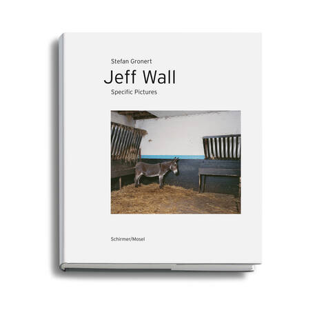 Jeff Wall. Specific Pictures